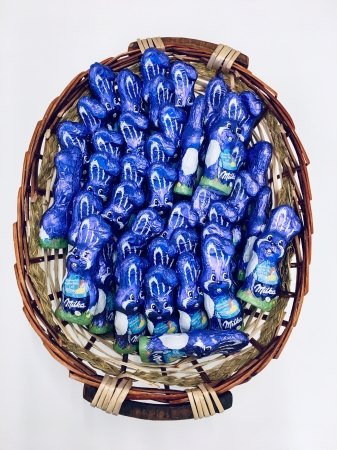 Bild: die ersten Schritte 2019