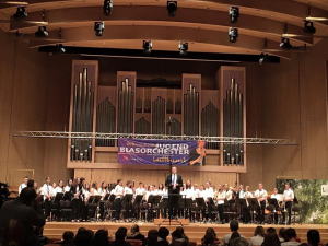 (C) Musikbezirksverband Landeck